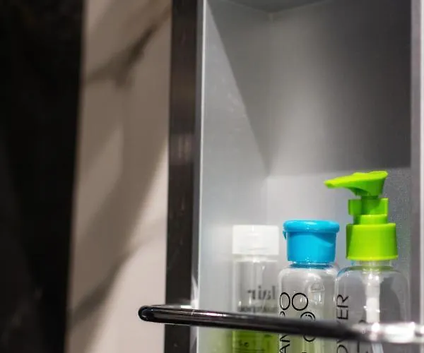 Newly Built Detached House With Parking Lejlighed *